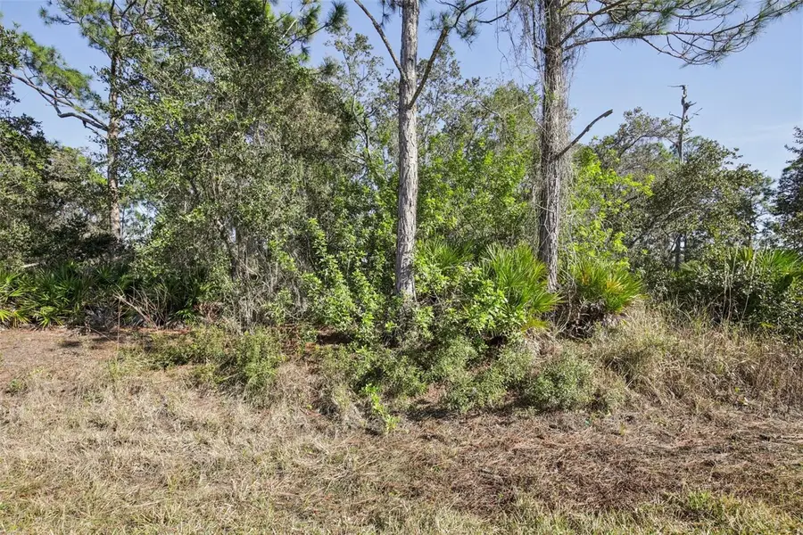 3124 Vessels Road, Punta Gorda, FL 33980 - #2