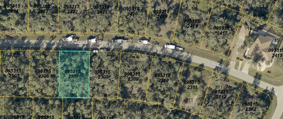 Griggs Avenue, North Port, FL 34291 - #3