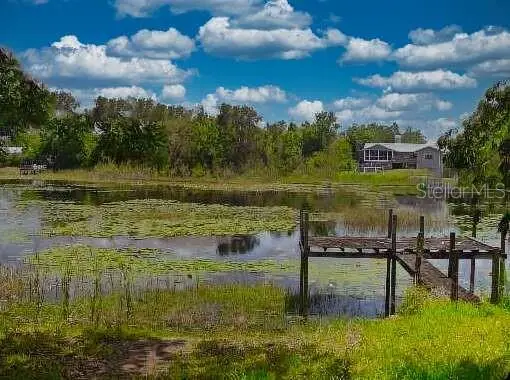 6340 Land O Lakes, Land O Lakes, FL 34638 - Image #2
