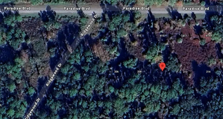 210 Edgewood Drive, Georgetown, FL 32139 - #2