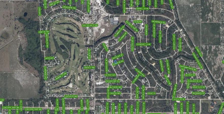 102 Edison Road Ne, Lake Placid, FL 33852 - #3