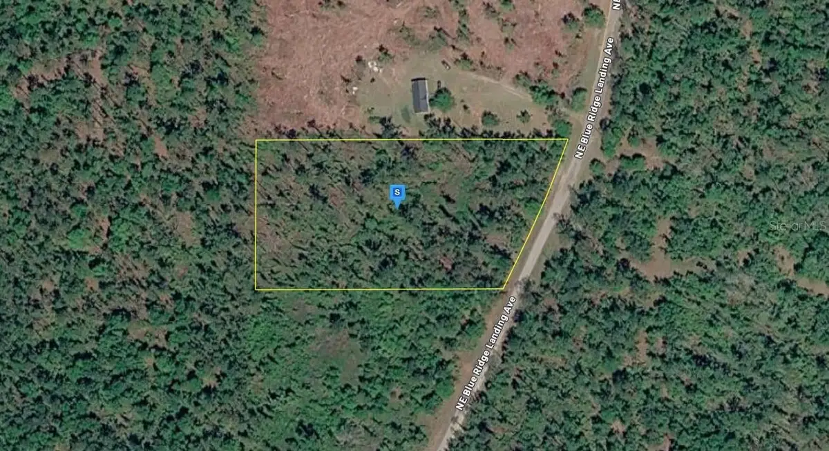 1177 NE Blue Ridge Landing Avenue, Lee, FL 32059 - #1