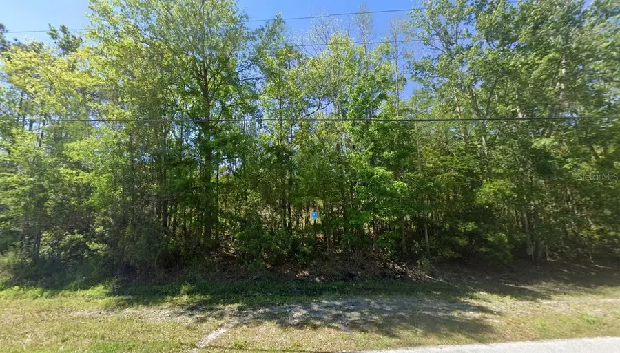 27272 Iron Gate Lane, Wesley Chapel, FL 33544 - #2