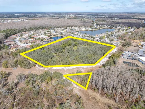 0 Byrd Legg Drive, ODESSA, FL 33556