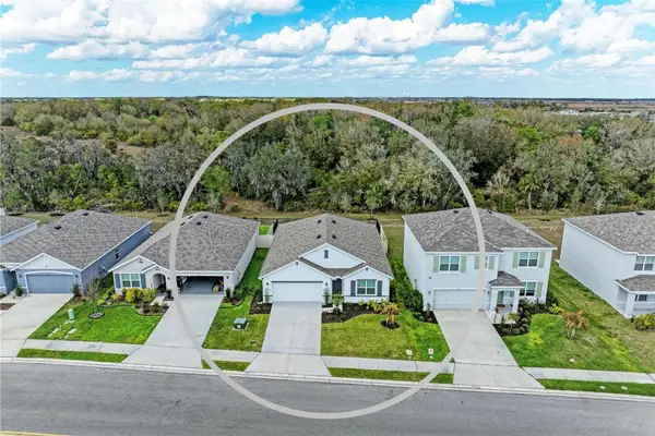 17250 Wheatberry Boulevard, PARRISH, FL 34219