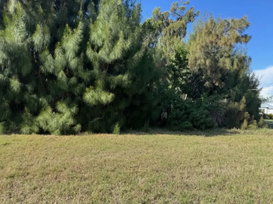 75 Green Dolphin Drive N, Placida, FL 33946 - #2