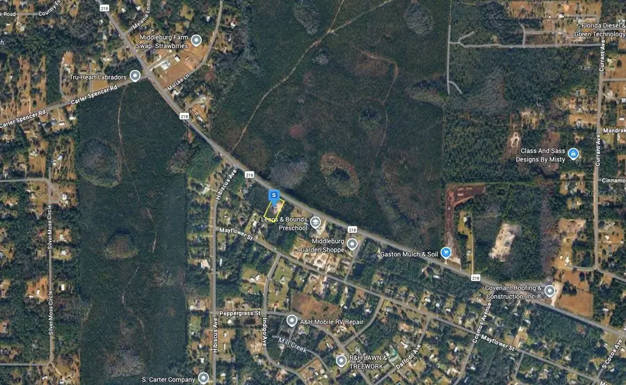 4741 County Road 218, Middleburg, FL 32068 - #3