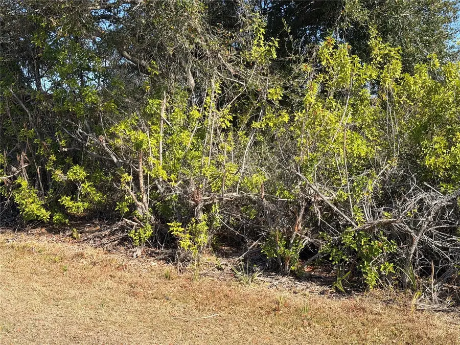 14366 Edsel Drive, Port Charlotte, FL 33981 - #3