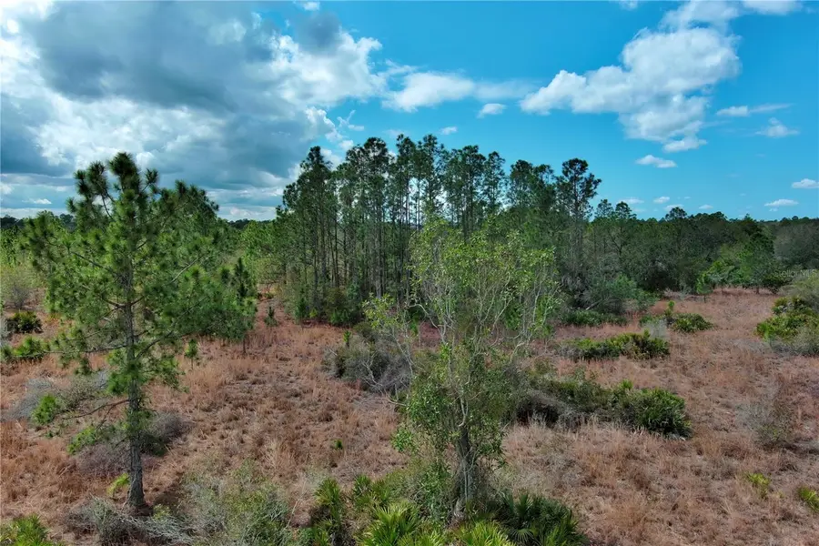 2107 405 Ct E, Myakka City, FL 34251 - #3