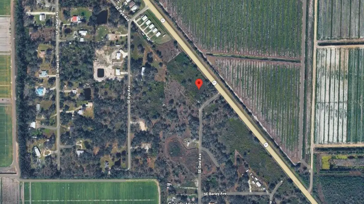 4649 SE Highway 31, Arcadia, FL 34266 - #1