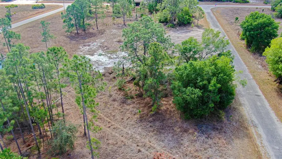 841 Dante Avenue S, Lehigh Acres, FL 33974 - #3