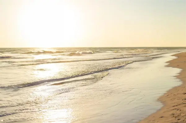 19 Whispering Sands Drive #302, SARASOTA, FL 34242