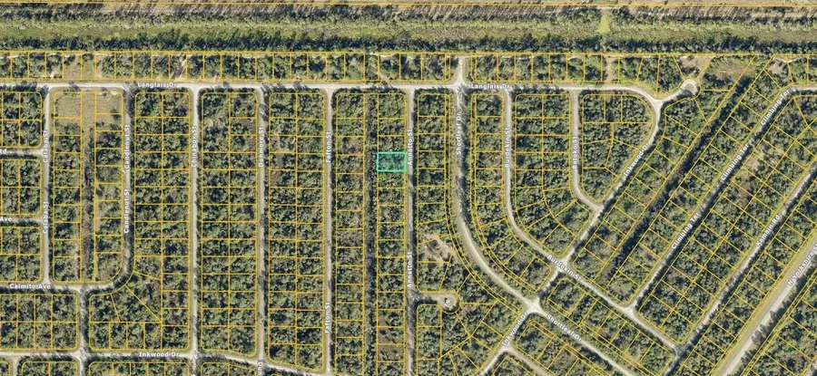 1125230813 Annatto Street, North Port, FL 34288 - #2