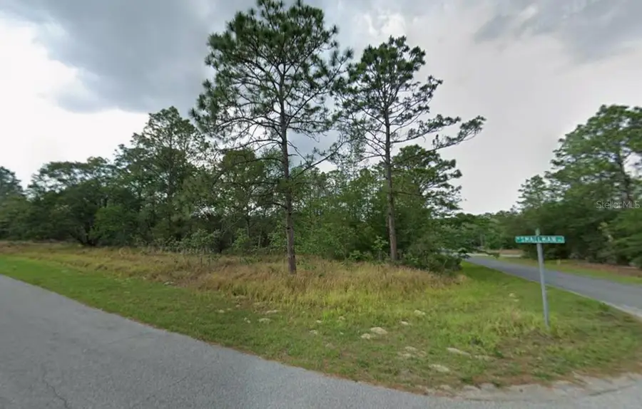 805 W Smallman Place, Citrus Springs, FL 34434 - #3