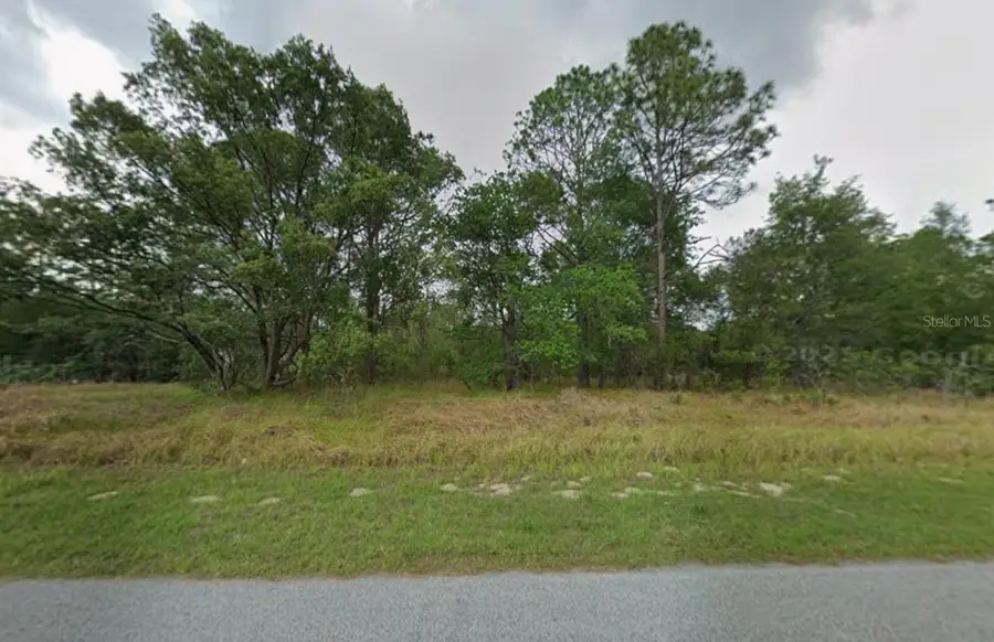 817 W Smallman Place, Citrus Springs, FL 34434 - #3