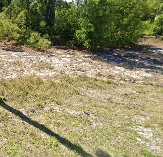 620 Lake Betty Drive, Lake Placid, FL 33852 - #3