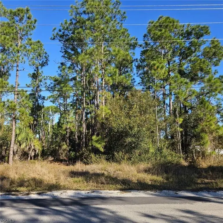 3903 E 10th Street, Lehigh Acres, FL 33972 - #1