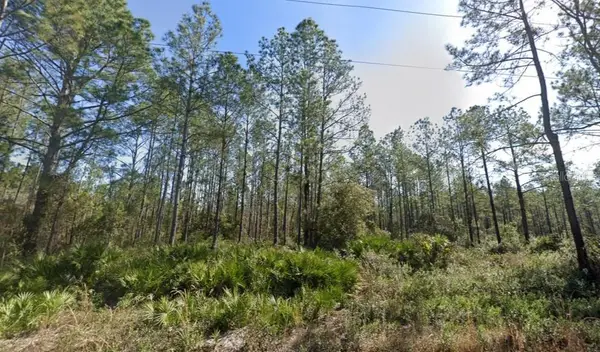 10620 Beckenger Avenue, HASTINGS, FL 32145