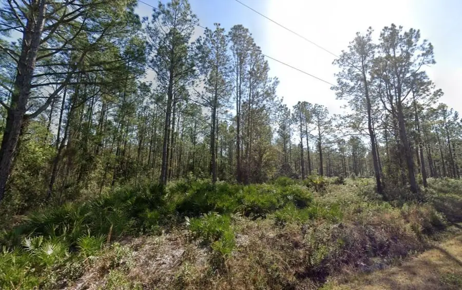 10620 Beckenger Avenue, Hastings, FL 32145 - #2