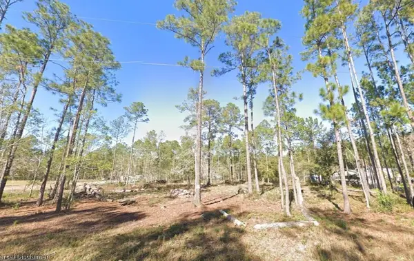 4335 Theresa Street, HASTINGS, FL 32145