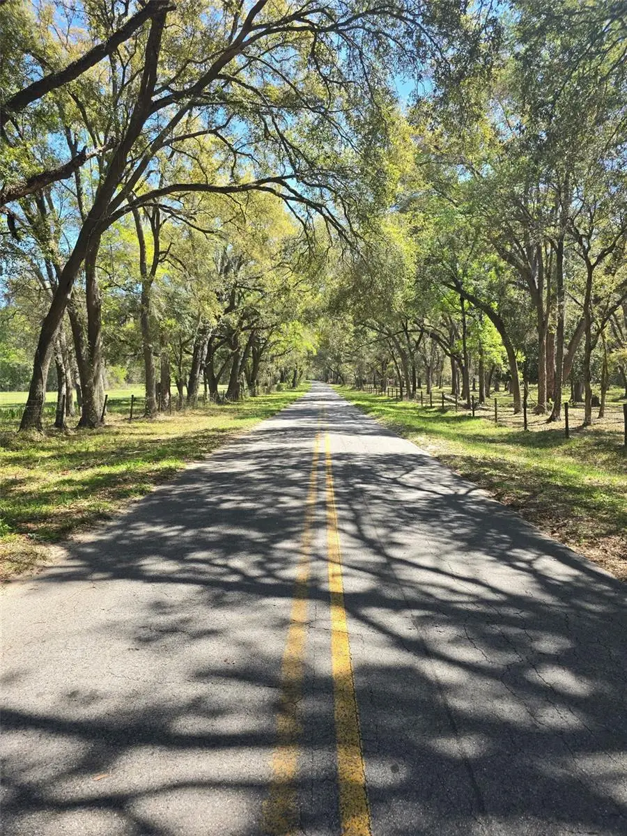 TDB (LOT 1) 55th Place, Wellborn, FL 32062 - #3