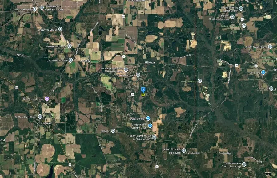 521 San Carswell Road, Quincy, FL 32352 - #3