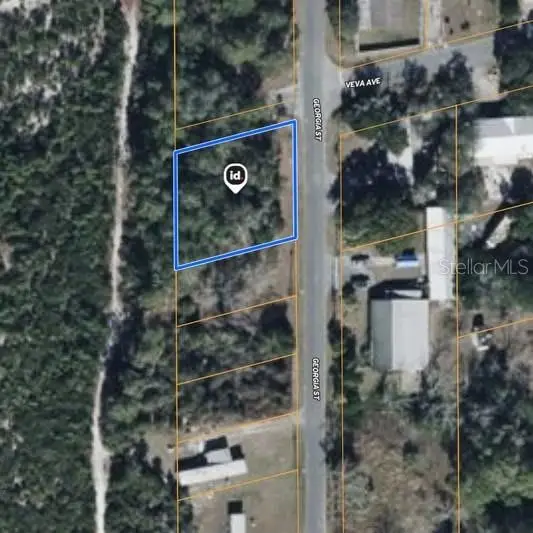 15-17-28-0200-009-00100 Georgia Street, Paisley, FL 32767 - #1