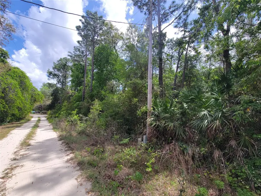 6685 W Euwell Court, Crystal River, FL 34429 - #2