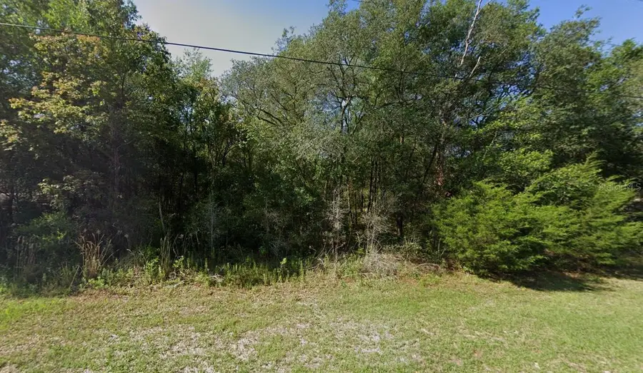 658 E La Salle Street, Hernando, FL 34442 - #2