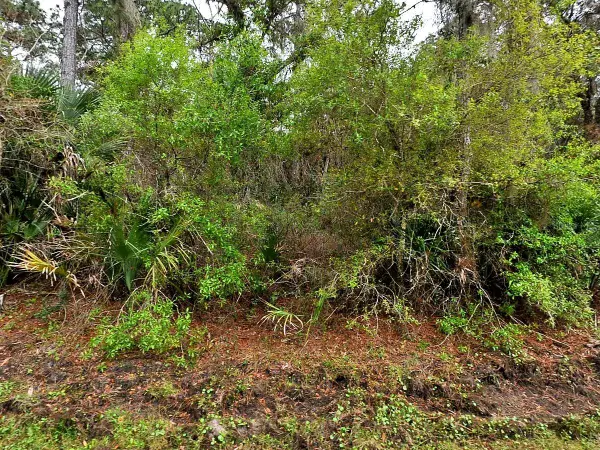 Hurdle Rd., NORTH PORT, FL 34291