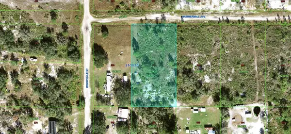 26-30-36-000000-024200 Hammermill Avenue, LAKE WALES, FL 33859