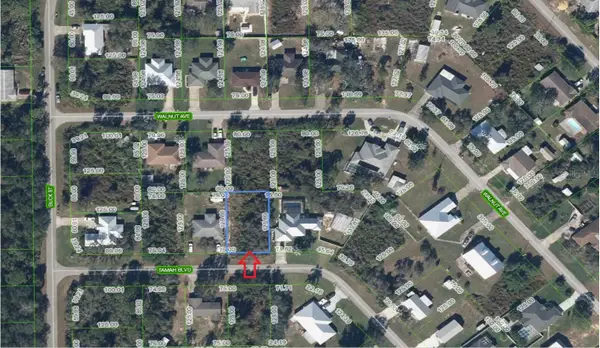 1507 Tamah Boulevard, LAKE PLACID, FL 33852