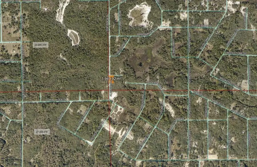 Sharpe Street, Webster, FL 33597 - #3