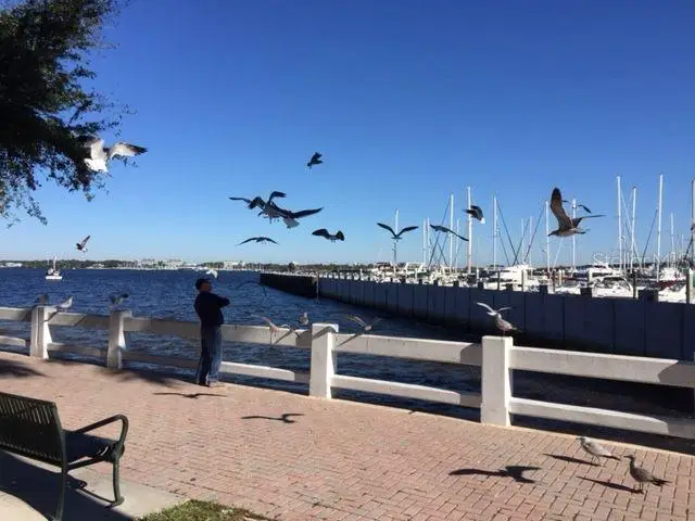 1400 Barcarrota Boulevard #201, Bradenton, FL 34205 - #2