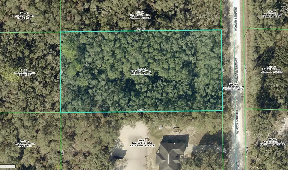 8223 Chimney Rock Drive, Webster, FL 33597 - #1