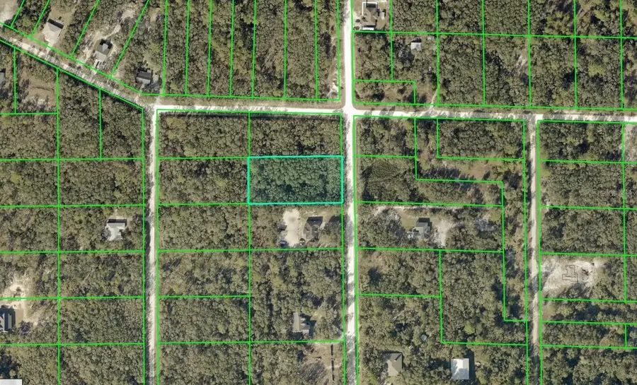 8223 Chimney Rock Drive, Webster, FL 33597 - #2