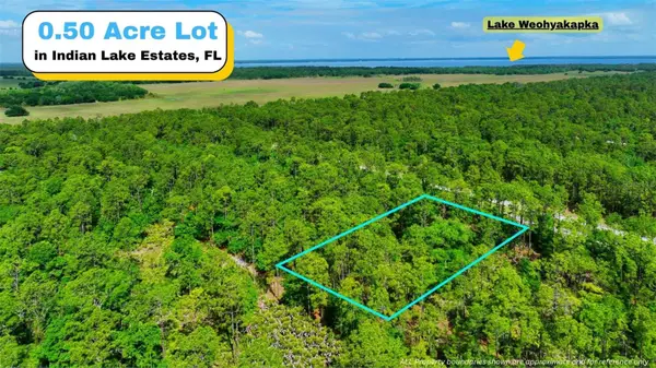 TBD Lot 20 Japonica Avenue, INDIAN LAKE ESTATES, FL 33855