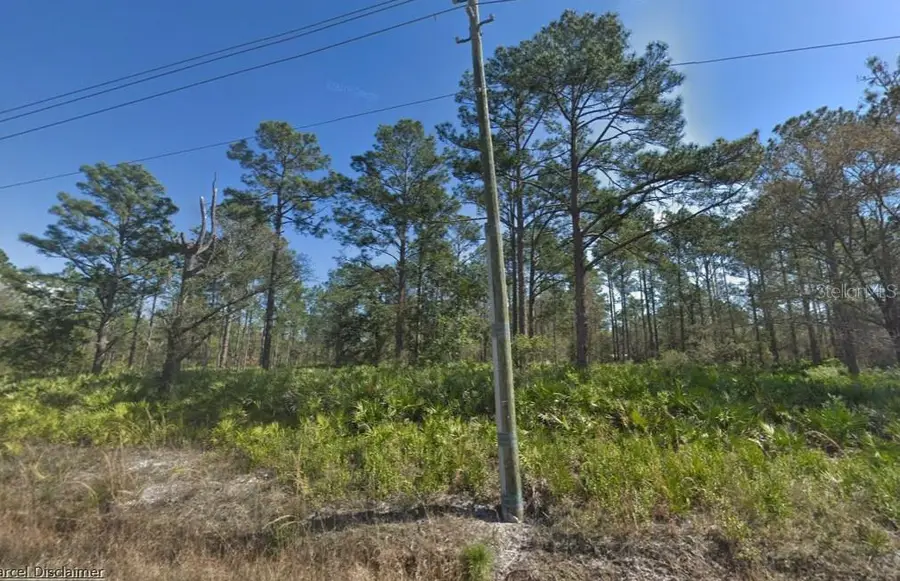 10610 Yeager Avenue, Hastings, FL 32145 - #2