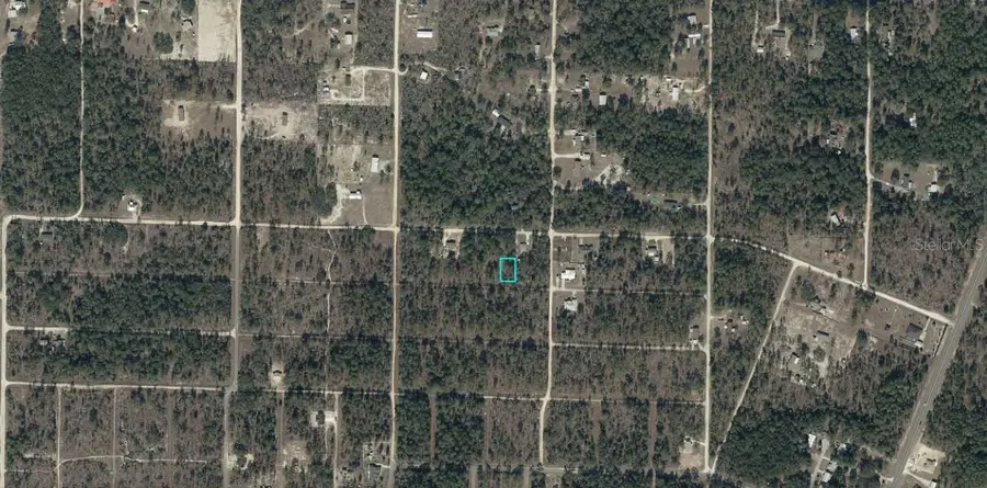 0930201700 NE 16th Lane, Williston, FL 32696 - #3