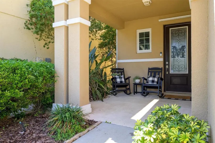 32698 Windelstraw Drive, Wesley Chapel, FL 33545 - #3