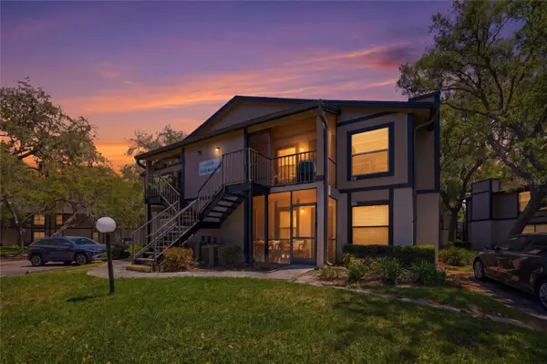 4005 Tumble Wood Trail #101, TAMPA, FL 33613