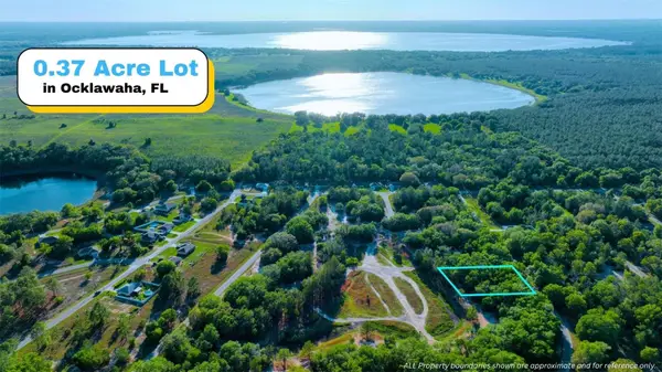 TBD Malauka Radial, OCKLAWAHA, FL 32179