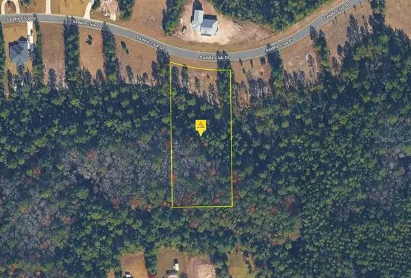 11325 Saddle Club Drive, JACKSONVILLE, FL 32219