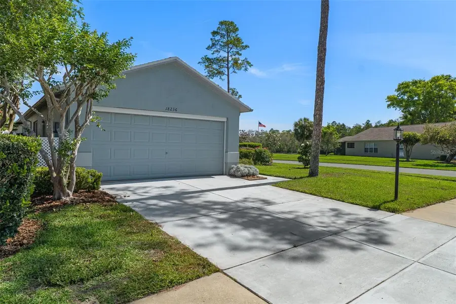 18236 Webster Grove Drive, Hudson, FL 34667 - #3