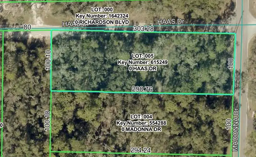 0 Haas Drive, Webster, FL 33597 - #1