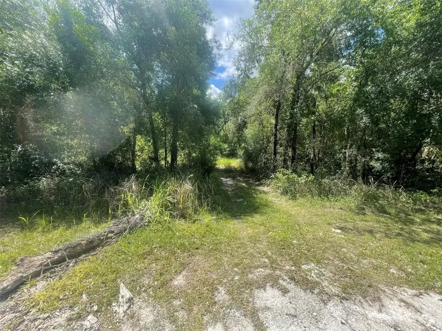 0 Haas Drive, Webster, FL 33597 - #2