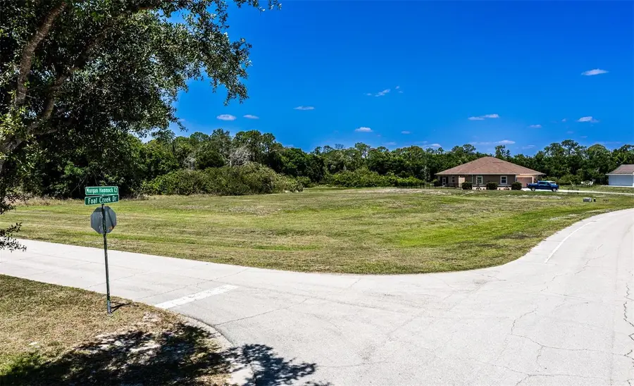6211 Foal Creek Drive, Parrish, FL 34219 - #2