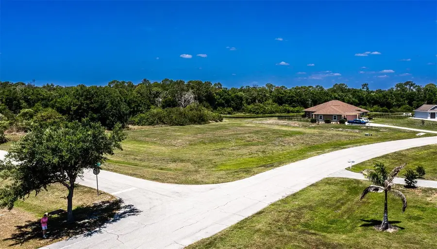 6211 Foal Creek Drive, Parrish, FL 34219 - #3