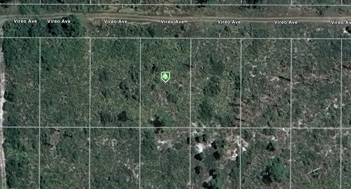 222 Vireo Avenue, Sebring, FL 33870 - #1