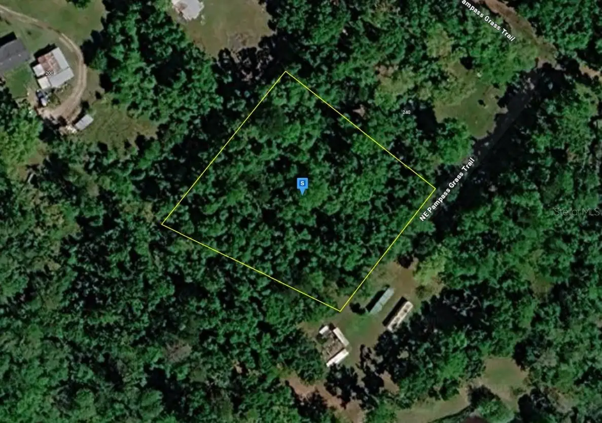 220 NE Pampass Grass Trail, Pinetta, FL 32350 - #1